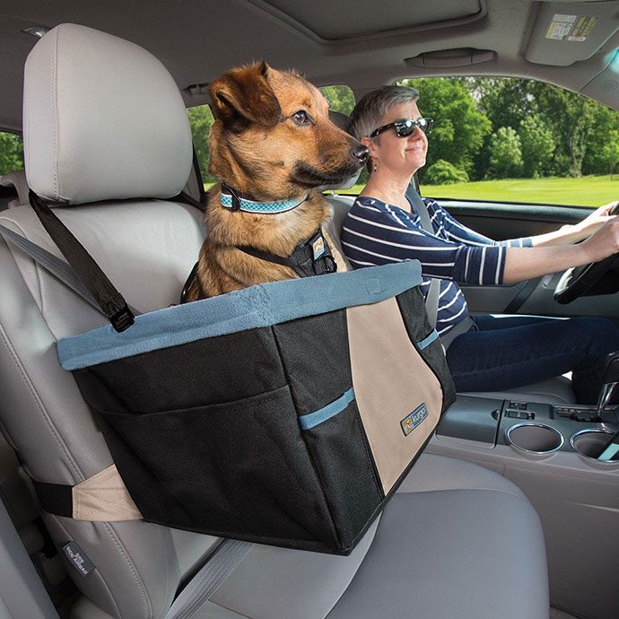 best double dog car seat