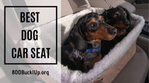 best dog car seat