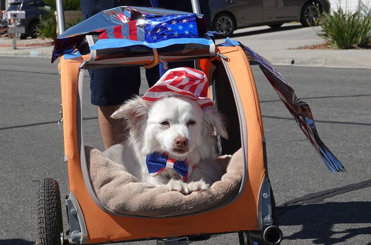 best pet brand dog stroller