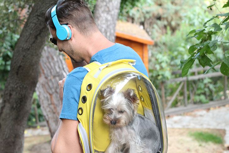 best dog travel backpack