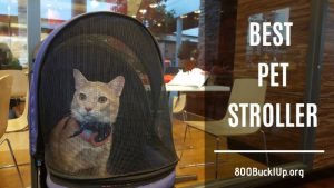 best pet stroller