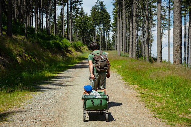 best stroller wagon