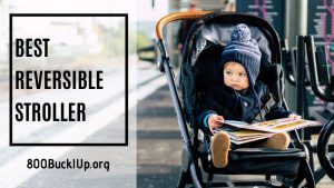 best reversible stroller