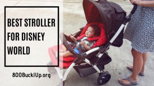 best stroller for disney world