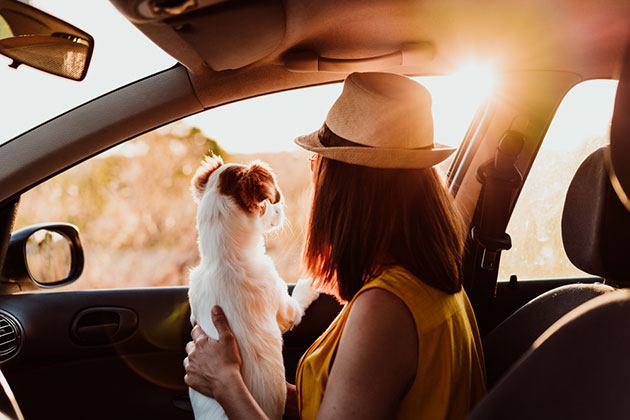 how to get pee out of my car seat